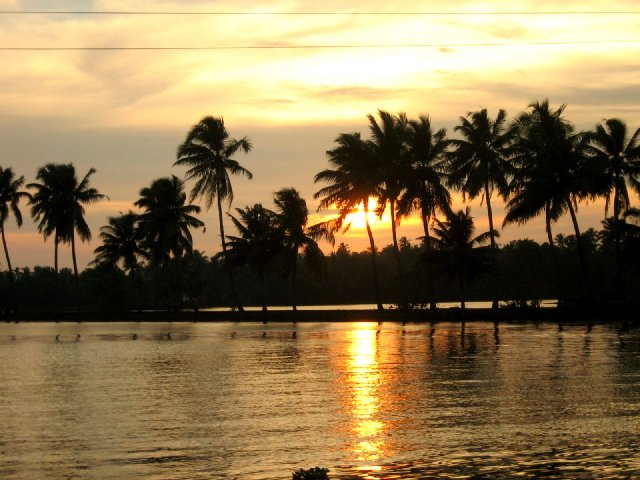 1097-Kerala_03.11.2005_089.JPG, 178 KB