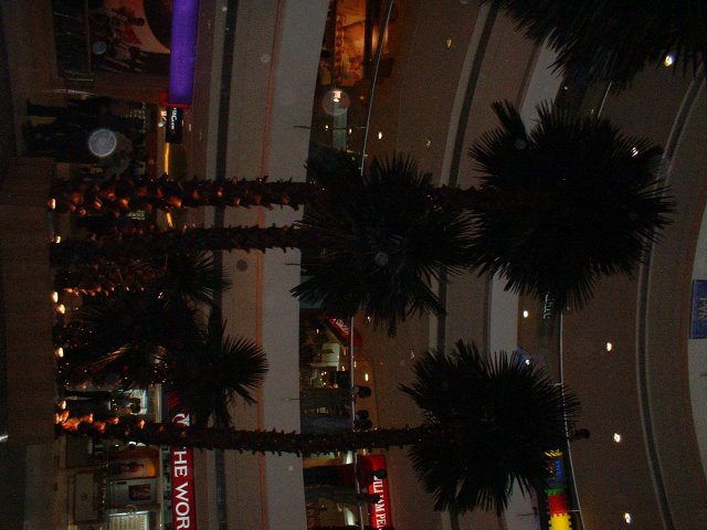 140-DSCF0005.JPG, 691 KB