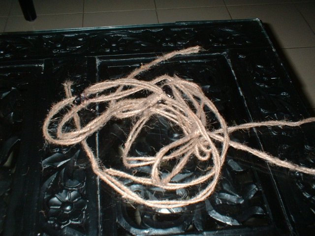 20.09.2005 CarePaket 007.jpg, 311 KB