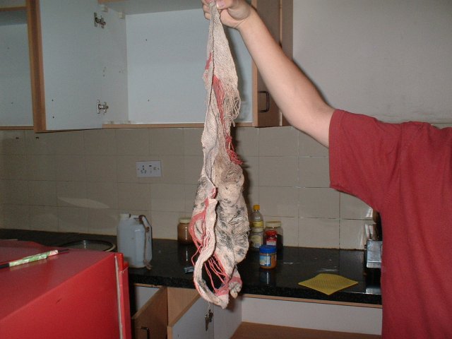 Kammerjägeraktion 014.jpg, 310 KB