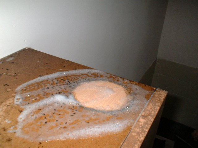 Kammerjägeraktion 016.jpg, 312 KB