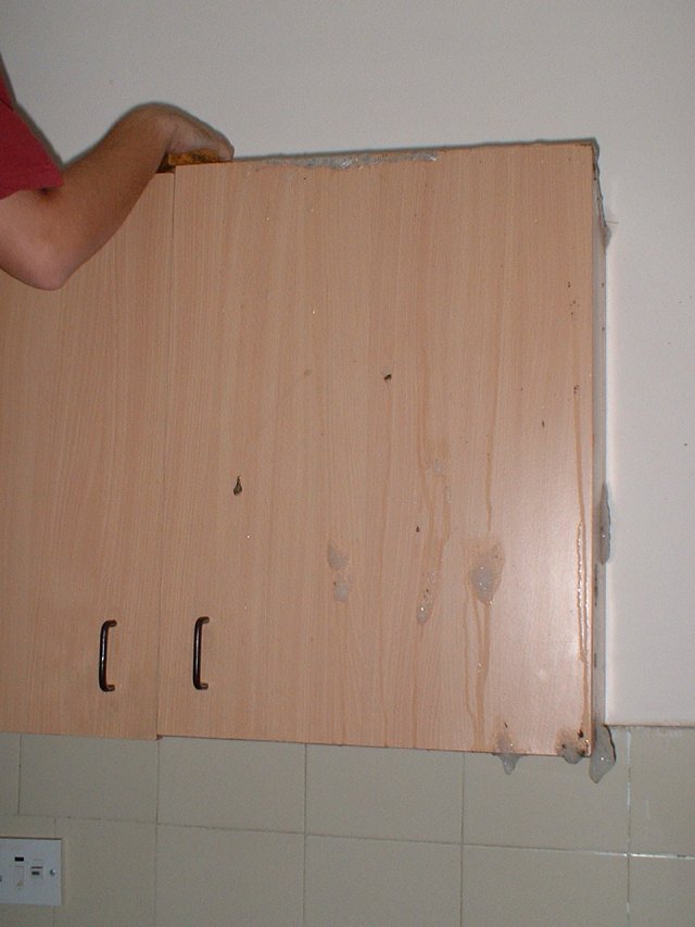 Kammerjägeraktion 020.jpg, 305 KB