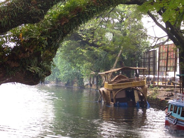 Kerala_03.11.2005_004.JPG, 302 KB