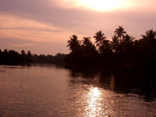 Kerala_03.11.2005_023.JPG, 156 KB