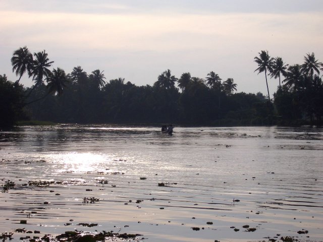 Kerala_03.11.2005_025.JPG, 181 KB