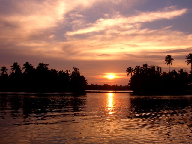 Kerala_03.11.2005_029.JPG, 145 KB