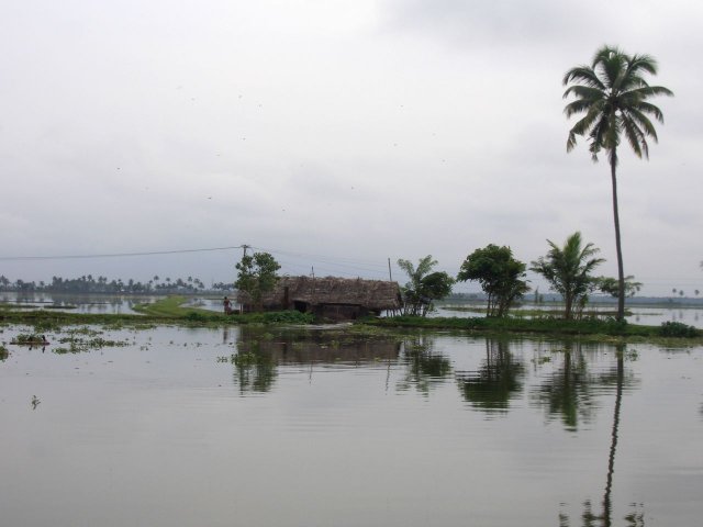 Kerala_03.11.2005_046.JPG, 101 KB
