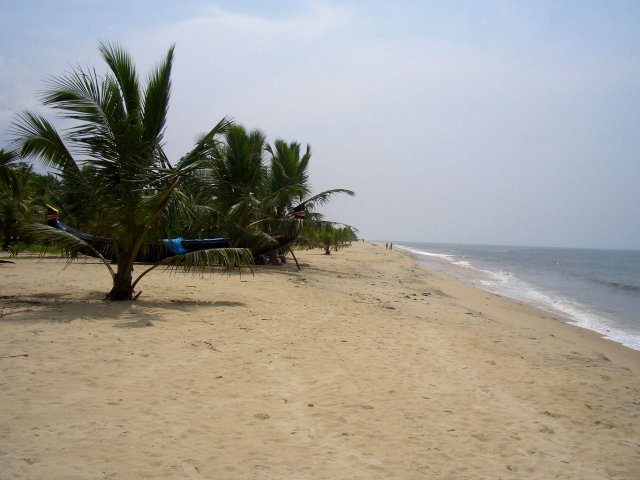 Kerala_03.11.2005_051.JPG, 154 KB