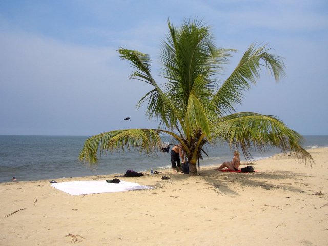 Kerala_03.11.2005_054.JPG, 166 KB