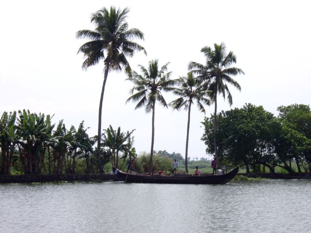 Kerala_03.11.2005_065.JPG, 173 KB