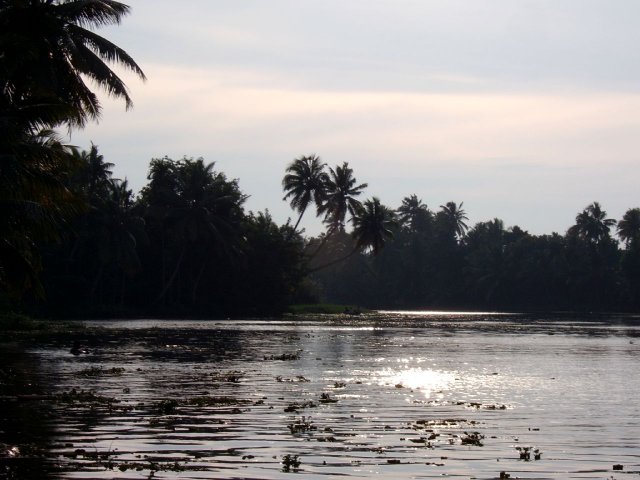 Kerala_03.11.2005_073.JPG, 164 KB