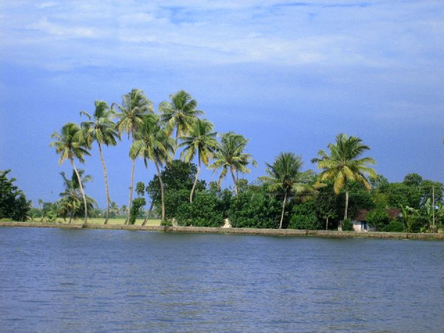 Kerala_03.11.2005_079.JPG, 167 KB