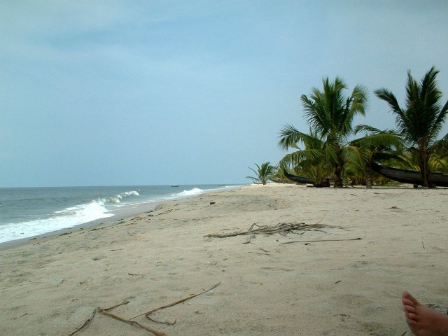 Kerala_03.11.2005_095.JPG, 192 KB