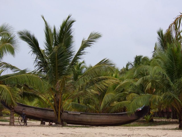 Kerala_03.11.2005_101.JPG, 225 KB