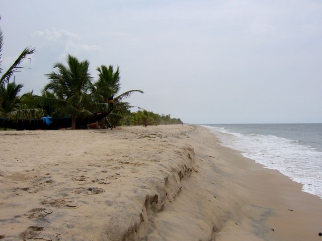 Kerala_03.11.2005_102.JPG, 128 KB
