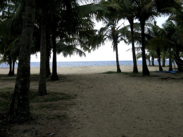 Kerala_03.11.2005_106.JPG, 200 KB