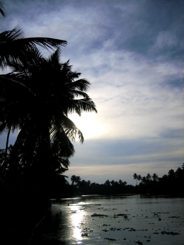 Kerala_03.11.2005_111.JPG, 127 KB
