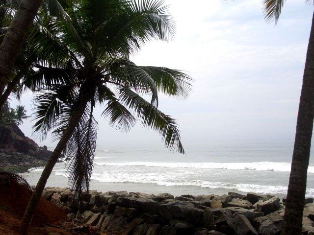 Kerala_05.11.2005_004.JPG, 213 KB