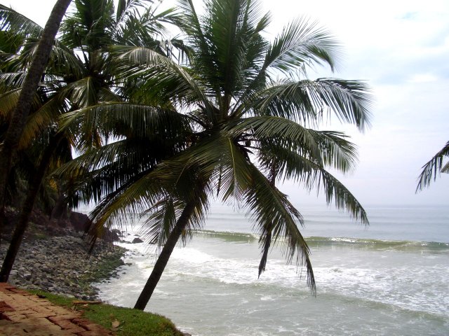 Kerala_05.11.2005_009.JPG, 281 KB