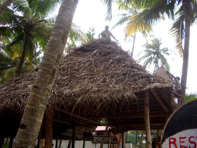 Kerala_05.11.2005_010.JPG, 291 KB
