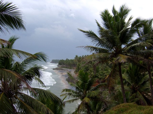 Kerala_05.11.2005_011.JPG, 249 KB