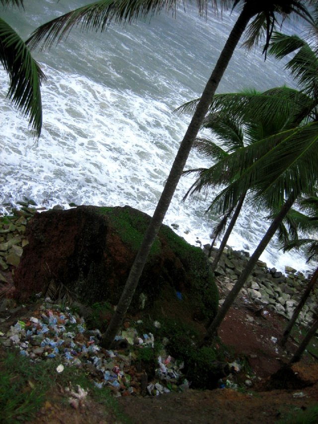 Kerala_05.11.2005_042.JPG, 251 KB