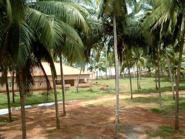 Kerala_06.11.2005_007.JPG, 305 KB