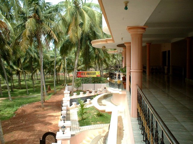 Kerala_06.11.2005_008.JPG, 269 KB