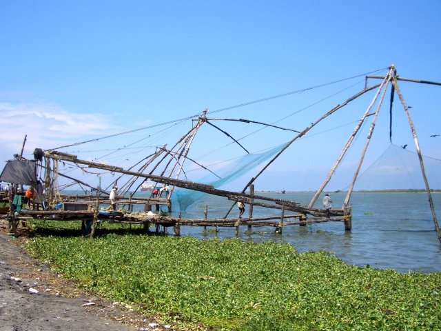 Kerala_29.10.2005_005.JPG, 244 KB