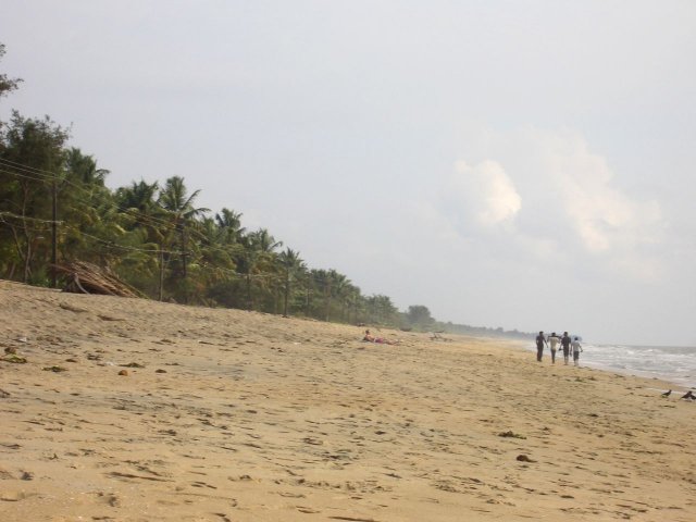Kerala_29.10.2005_021.JPG, 137 KB