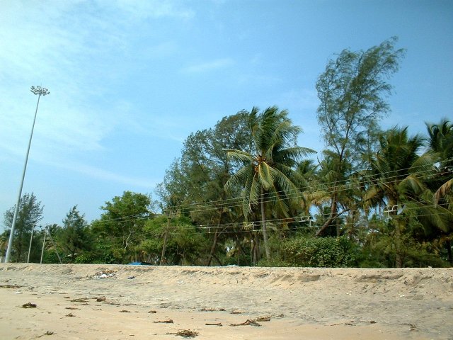 Kerala_29.10.2005_050.JPG, 251 KB