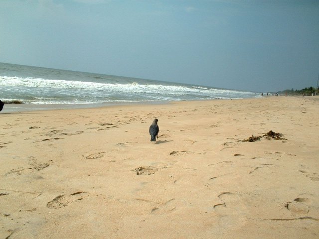 Kerala_29.10.2005_051.JPG, 205 KB