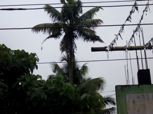 Kerala_30.10.2005_004.JPG, 192 KB