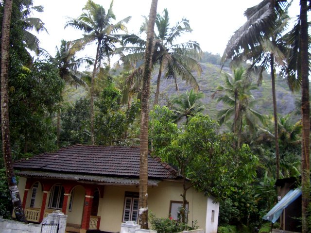 Kerala_30.10.2005_010.JPG, 265 KB