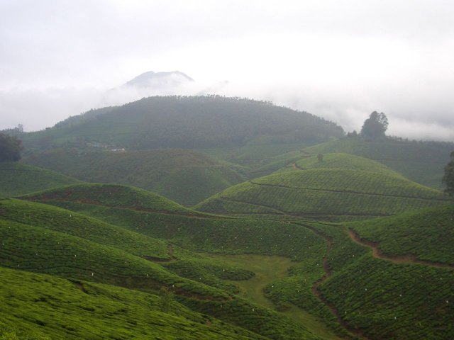 Kerala_30.10.2005_023.JPG, 129 KB