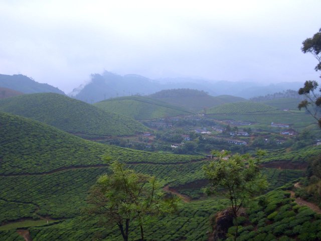 Kerala_30.10.2005_024.JPG, 148 KB