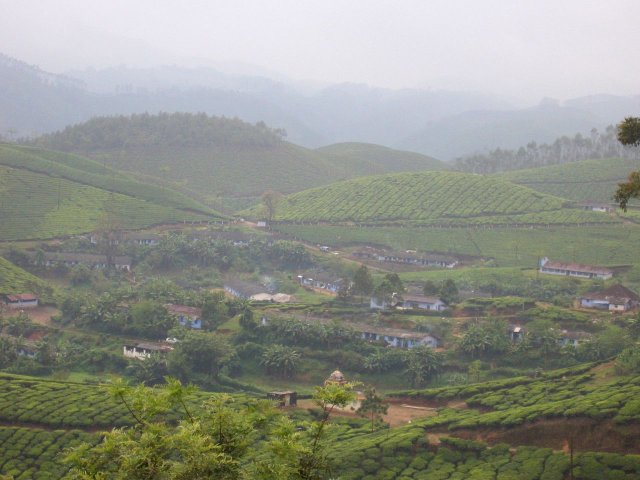 Kerala_30.10.2005_028.JPG, 174 KB
