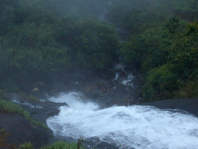 Kerala_30.10.2005_033.JPG, 146 KB