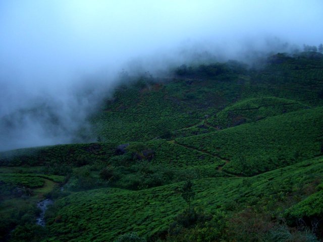 Kerala_30.10.2005_034.JPG, 156 KB