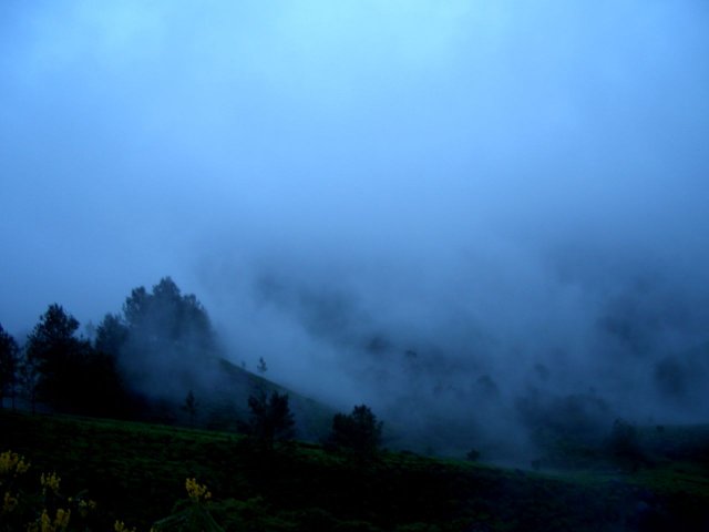 Kerala_30.10.2005_035.JPG, 58 KB