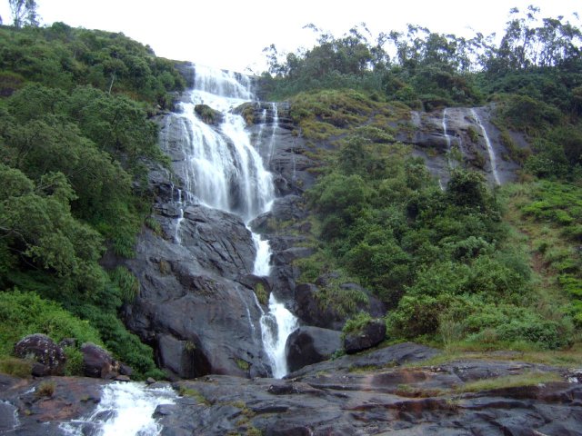 Kerala_30.10.2005_055.JPG, 246 KB