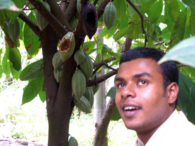 Kerala_31.10.2005_014.JPG, 179 KB