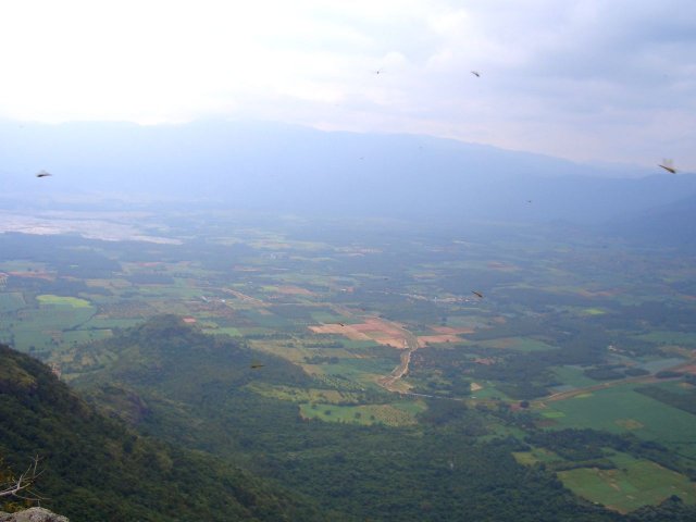 Kerala_31.10.2005_021.JPG, 103 KB