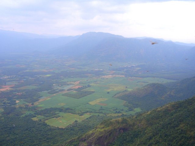Kerala_31.10.2005_022.JPG, 111 KB