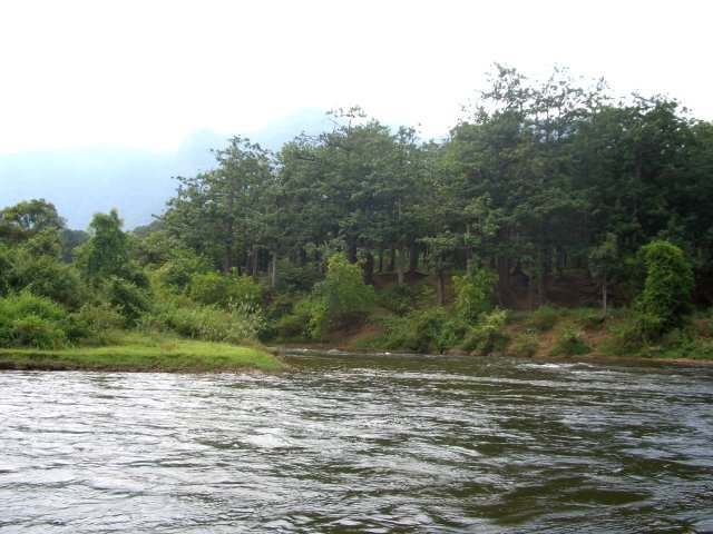 Kerala_31.10.2005_038.JPG, 241 KB