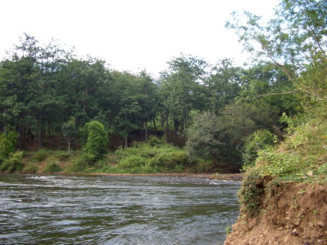 Kerala_31.10.2005_039.JPG, 321 KB