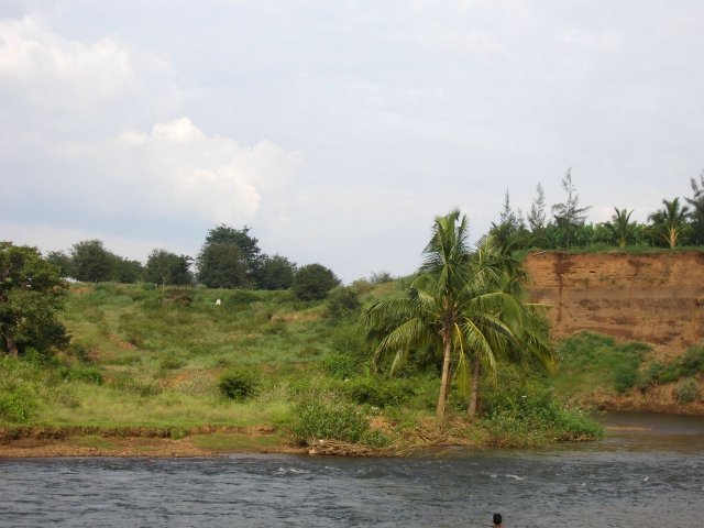 Kerala_31.10.2005_045.JPG, 170 KB