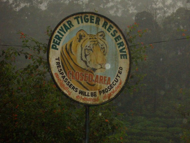 Kerala_31.10.2005_060.JPG, 205 KB