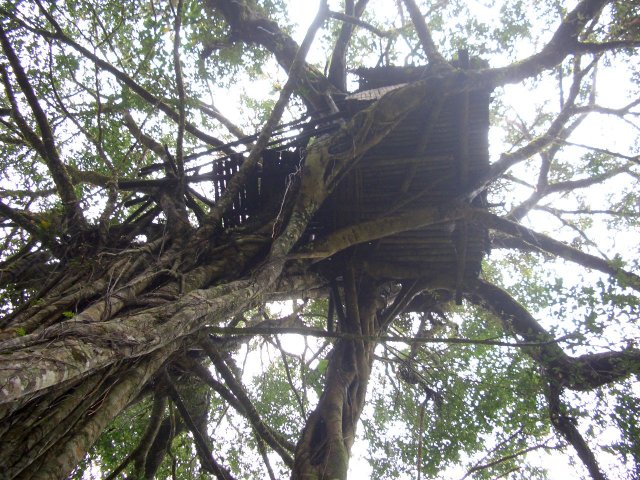 Kerala_31.10.2005_083.JPG, 330 KB