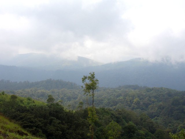 Kerala_31.10.2005_091.JPG, 101 KB